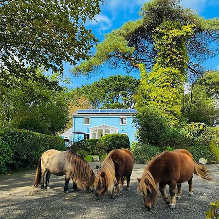 Bay View Cottage St Austell Exterior foto